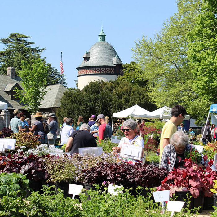 Popup Events Plants & What Knot