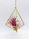 Gold geometric air plant hanger - Small
