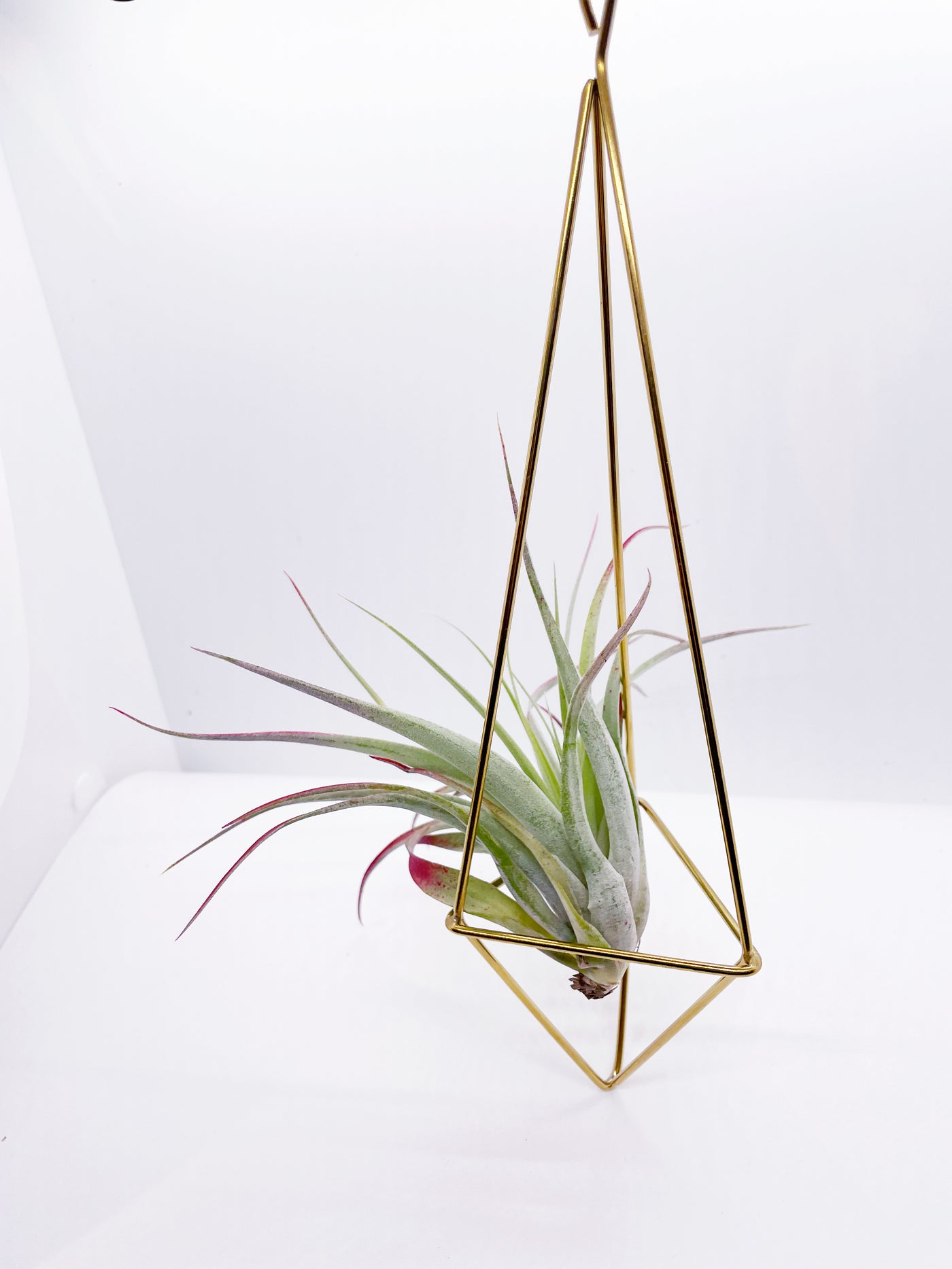 large air plant hanger Geometric air plant hanger