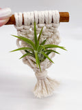Mini macrame air plant holder magnet