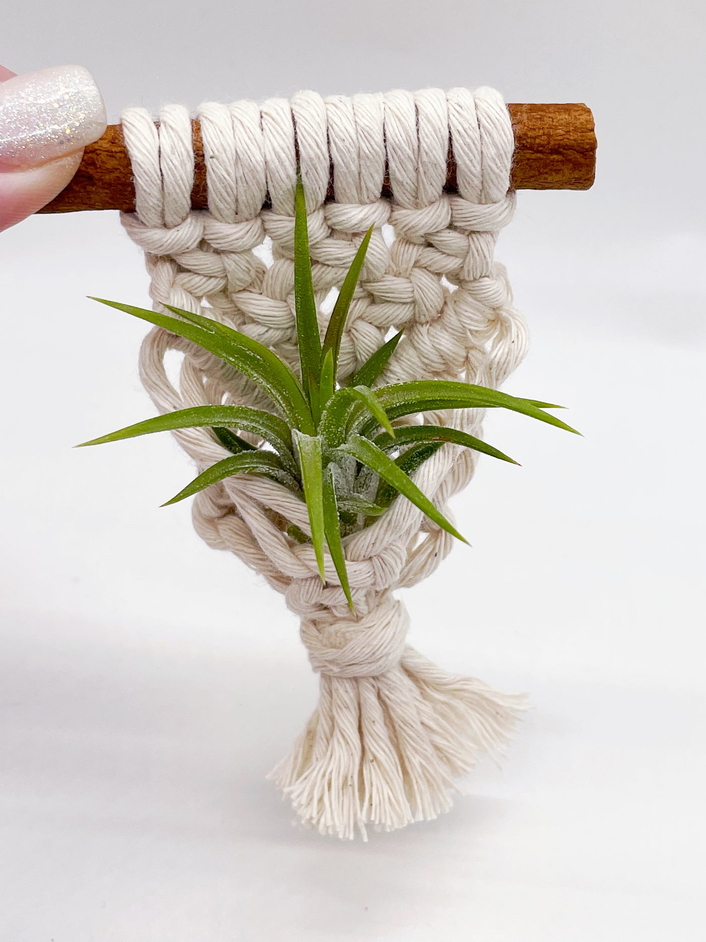 air plant hanger macrame Mini macrame air plant holder magnet – Plants & What Knot